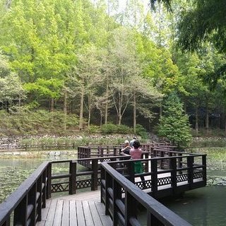 장태산자연휴양림