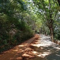 계족산 황톳길
