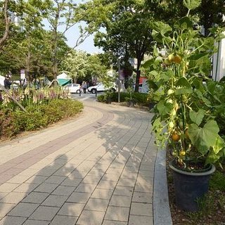 유성온천 야외 족욕체험장