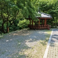 정자 사이트